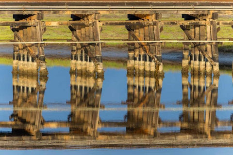 Railroad Bridge Reflection Black Ornate Wood Framed Art Print with Double Matting by Peterson, Lee