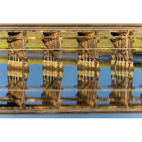 Railroad Bridge Reflection Black Modern Wood Framed Art Print with Double Matting by Peterson, Lee