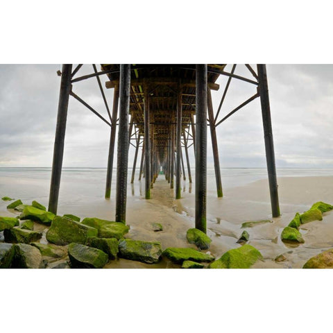 Under Oceanside Pier Gold Ornate Wood Framed Art Print with Double Matting by Peterson, Lee