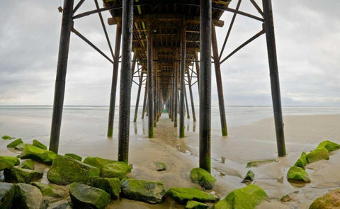 Under Oceanside Pier White Modern Wood Framed Art Print with Double Matting by Peterson, Lee