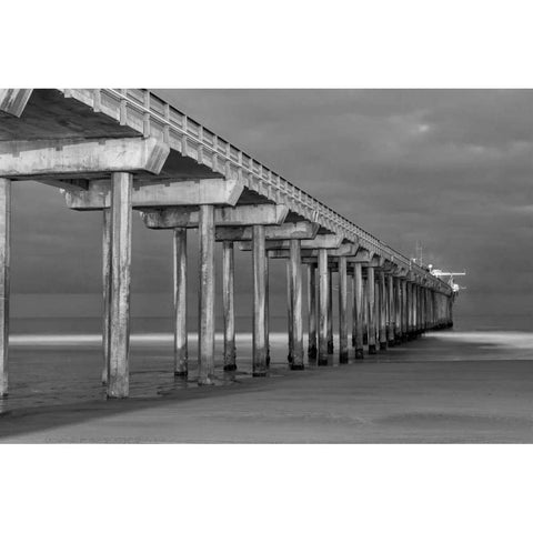 Scripps Pier BW I Gold Ornate Wood Framed Art Print with Double Matting by Peterson, Lee