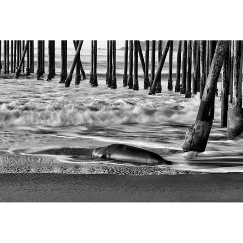 San Simeon Pier BW Black Modern Wood Framed Art Print with Double Matting by Peterson, Lee