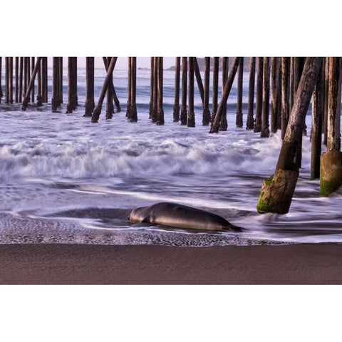 San Simeon Pier I Gold Ornate Wood Framed Art Print with Double Matting by Peterson, Lee