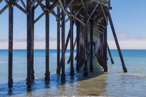 San Simeon Pier III Black Ornate Wood Framed Art Print with Double Matting by Peterson, Lee