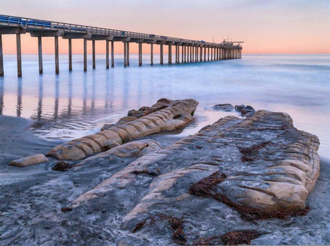 Scripps Pier III White Modern Wood Framed Art Print with Double Matting by Peterson, Lee