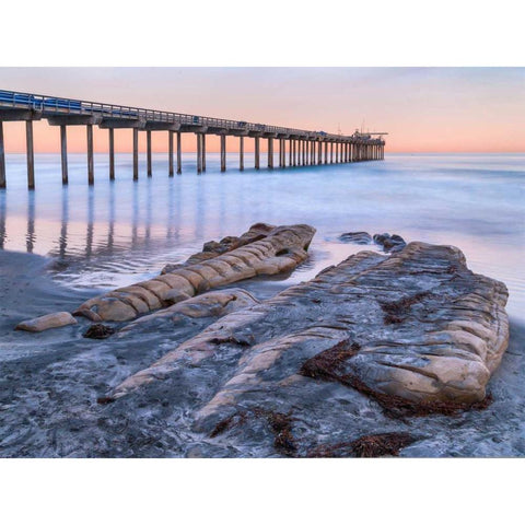 Scripps Pier III Black Modern Wood Framed Art Print with Double Matting by Peterson, Lee