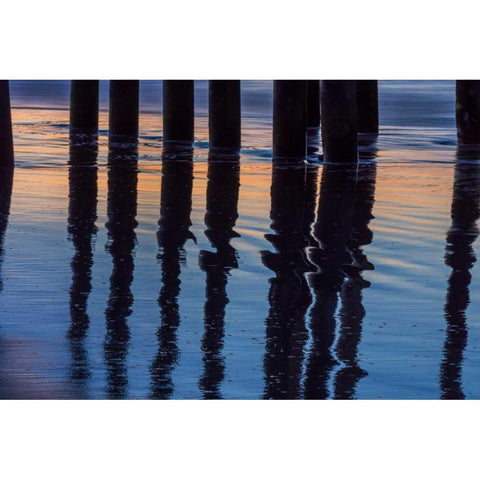 Ventura Pier Reflections I Gold Ornate Wood Framed Art Print with Double Matting by Peterson, Lee