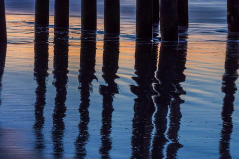 Ventura Pier Reflections I White Modern Wood Framed Art Print with Double Matting by Peterson, Lee