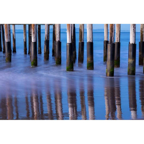 Ventura Pier Reflections II Gold Ornate Wood Framed Art Print with Double Matting by Peterson, Lee