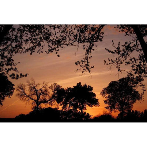 Unity Sunset White Modern Wood Framed Art Print by Putman, Tammy