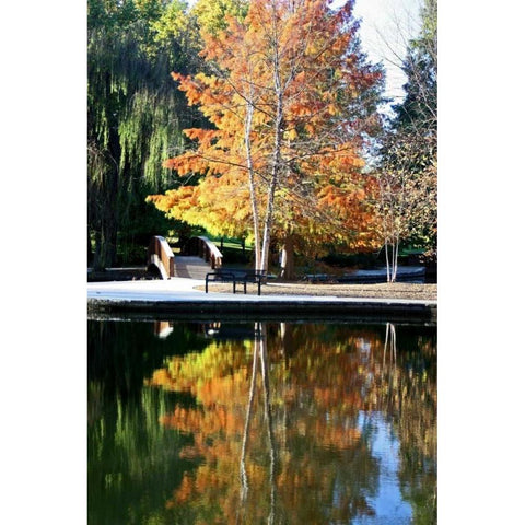 Fall Colors White Modern Wood Framed Art Print by Putman, Tammy