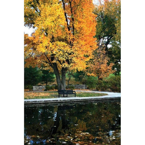 Fall in the Park Gold Ornate Wood Framed Art Print with Double Matting by Putman, Tammy