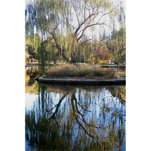 Willow in Fall Gold Ornate Wood Framed Art Print with Double Matting by Putman, Tammy