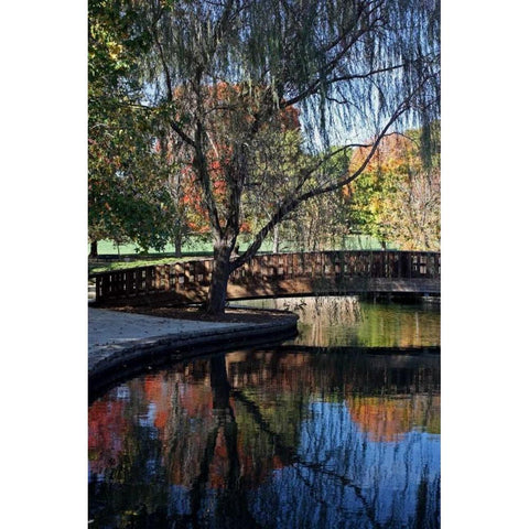 Fall Reflection Black Modern Wood Framed Art Print with Double Matting by Putman, Tammy