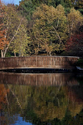 Bridge in Fall I Black Ornate Wood Framed Art Print with Double Matting by Putman, Tammy