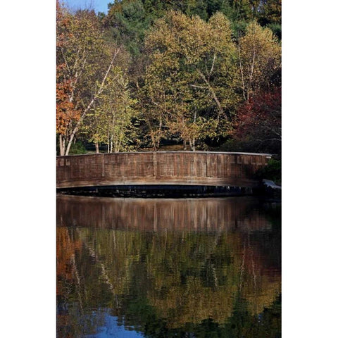 Bridge in Fall I White Modern Wood Framed Art Print by Putman, Tammy