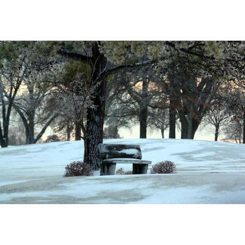 Bench III White Modern Wood Framed Art Print by Putman, Tammy