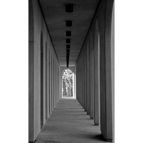 The Walkway Black Modern Wood Framed Art Print with Double Matting by Putman, Tammy