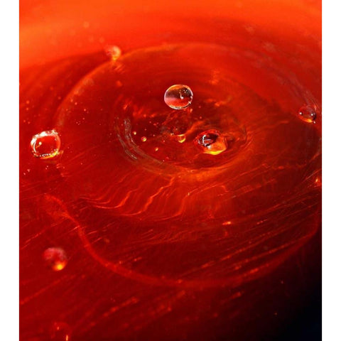 Red Drink Drop I Black Modern Wood Framed Art Print with Double Matting by Putman, Tammy