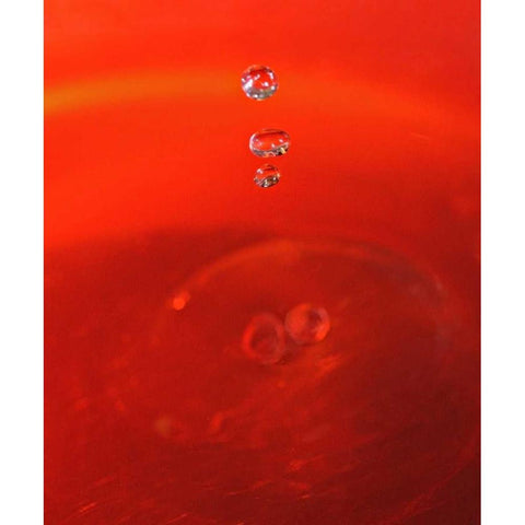 Red Drink Drop II White Modern Wood Framed Art Print by Putman, Tammy