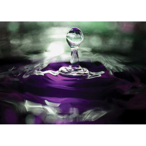 Grape Drink Drop II White Modern Wood Framed Art Print by Putman, Tammy