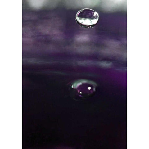 Grape Drink Drop IV White Modern Wood Framed Art Print by Putman, Tammy