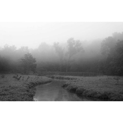 Creek in Fog I Black Modern Wood Framed Art Print with Double Matting by Putman, Tammy