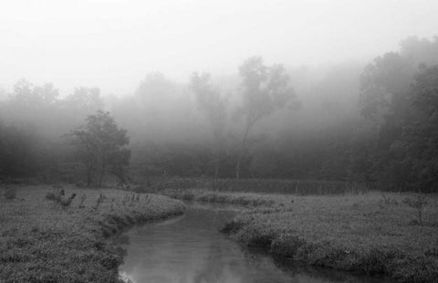 Creek in Fog I White Modern Wood Framed Art Print with Double Matting by Putman, Tammy