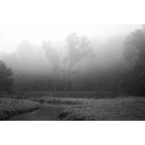 Creek in Fog II White Modern Wood Framed Art Print by Putman, Tammy