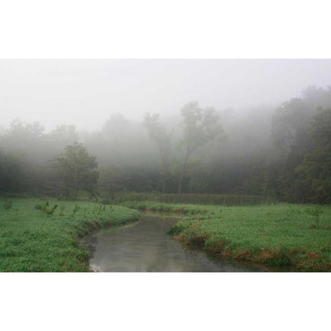 Creek in Fog I White Modern Wood Framed Art Print by Putman, Tammy