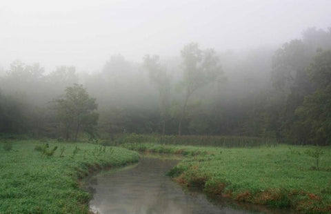 Creek in Fog I White Modern Wood Framed Art Print with Double Matting by Putman, Tammy