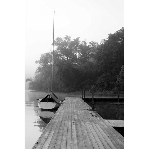 Docked II White Modern Wood Framed Art Print by Putman, Tammy