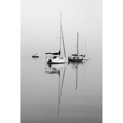 Red Sailboat II Black Modern Wood Framed Art Print with Double Matting by Putman, Tammy