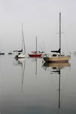 Red Sailboat I White Modern Wood Framed Art Print with Double Matting by Putman, Tammy