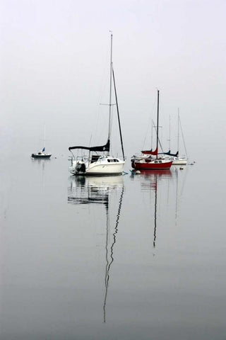 Red Sailboat II White Modern Wood Framed Art Print with Double Matting by Putman, Tammy