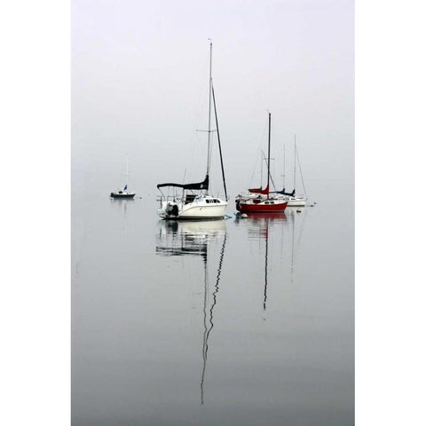 Red Sailboat II White Modern Wood Framed Art Print by Putman, Tammy