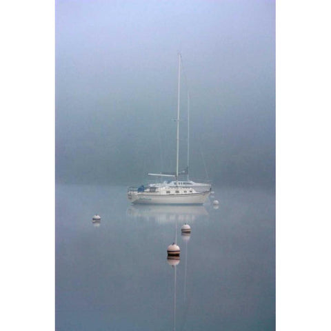 Foggy Morning Gold Ornate Wood Framed Art Print with Double Matting by Putman, Tammy