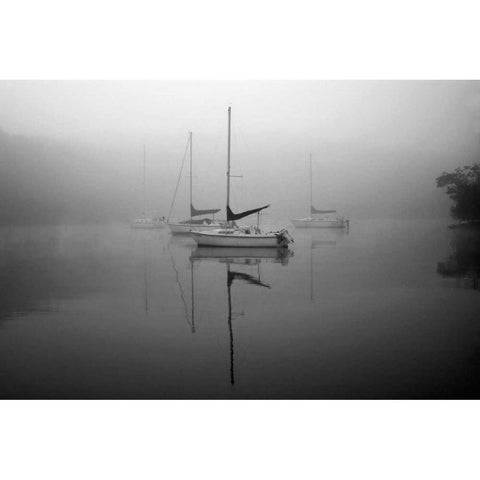 In the Fog Black Modern Wood Framed Art Print with Double Matting by Putman, Tammy