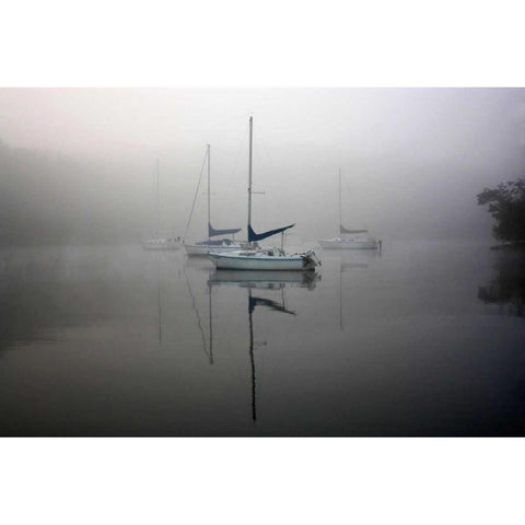 In the Fog White Modern Wood Framed Art Print by Putman, Tammy