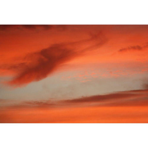 Sunrise Sky Gold Ornate Wood Framed Art Print with Double Matting by Putman, Tammy
