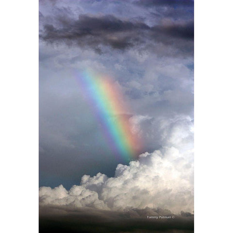 Rainbow in the Clouds White Modern Wood Framed Art Print by Putman, Tammy