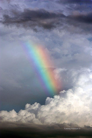 Rainbow in the Clouds Black Ornate Wood Framed Art Print with Double Matting by Putman, Tammy