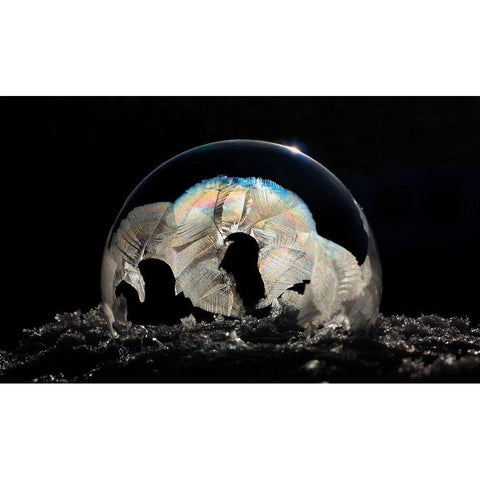 Frozen Bubble Black Modern Wood Framed Art Print with Double Matting by Putman, Tammy