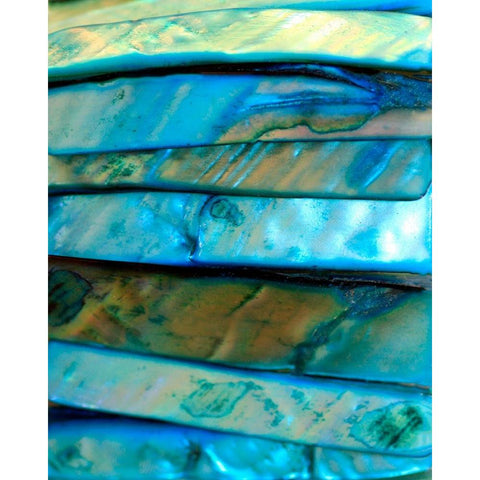 Shell Be Blue I White Modern Wood Framed Art Print by Putman, Tammy