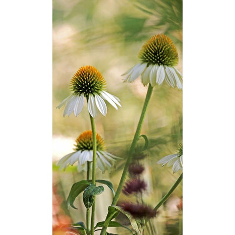 White Cones II White Modern Wood Framed Art Print by Putman, Tammy