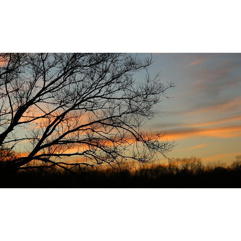 Dusk Silhouette I White Modern Wood Framed Art Print by Putman, Tammy