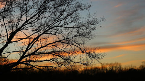 Dusk Silhouette I White Modern Wood Framed Art Print with Double Matting by Putman, Tammy