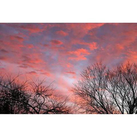 Dusk Silhouette III Black Modern Wood Framed Art Print with Double Matting by Putman, Tammy