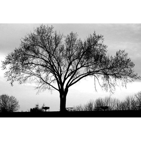 Dusk White Modern Wood Framed Art Print by Putman, Tammy