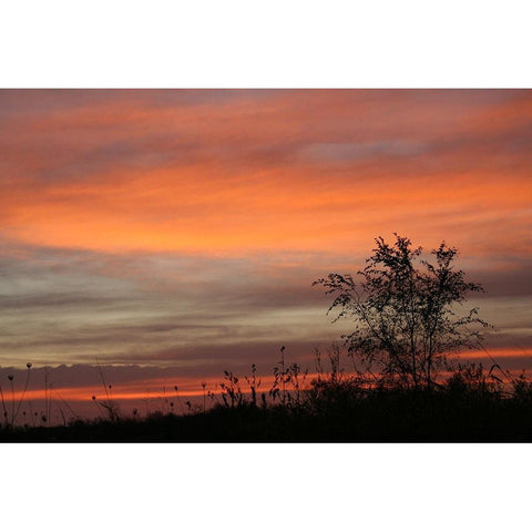 Peaceful Sunset White Modern Wood Framed Art Print by Putman, Tammy